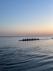 IMG 4124